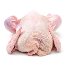 raw hen on a white background