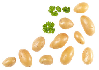 Potatoes and parsley isolated on white background with copy space for your text. Top view. Flat lay pattern. Potatoes in air, without shadow.