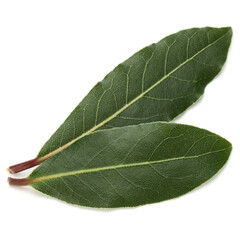 Obraz premium Aromatic bay leaves