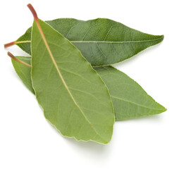 Bay leaves isolated on white background close up
