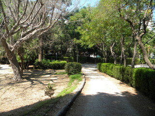 Vialetto