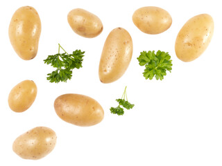 Potatoes and parsley isolated on white background with copy space for your text. Top view. Flat lay pattern. Potatoes in air, without shadow.
