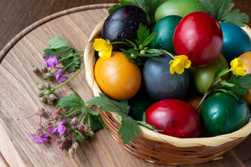 Easter eggs and Easter bun with flowers - wood background