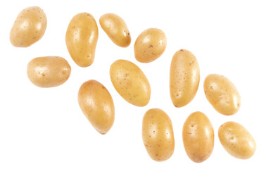 Potato isolated on white background with copy space for your text. Top view. Flat lay pattern. Potatoes in air, without shadow.