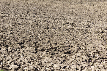 Close up grey spring plowed land texture in the field agriculture organic farming concept