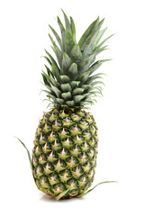 Fototapeta premium pineapple isolated on white background