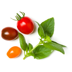 various colorful tomatoes and basil leaves isolated on white background. Top view, flat lay. Creative layout.