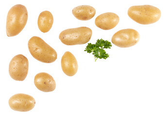 Potatoes and parsley isolated on white background with copy space for your text. Top view. Flat lay pattern. Potatoes in air, without shadow.