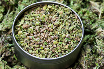 Cannabis Samen, Hanf Samen