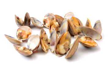 Stacked fresh raw clams on white background