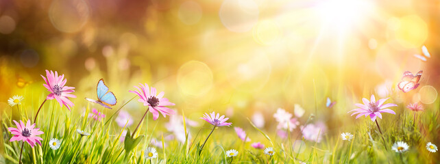 Abstrakter defokussierter Frühling - lila Gänseblümchen und Schmetterling auf Gras im sonnigen Feld