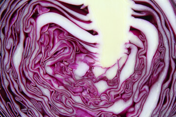 Close-up of a cut red cabbage