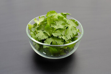 Coriander leaves on dark background.