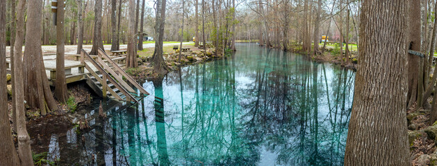 Fototapeta premium Little Devil's Spring on the Santa Fe River, Gilchrist County, Florida