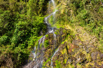 Beautiful landscape of stream in forest