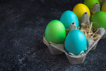 Close up of colorful painted easter eggs in egg carton decorated with shavings on black background. Copy space
