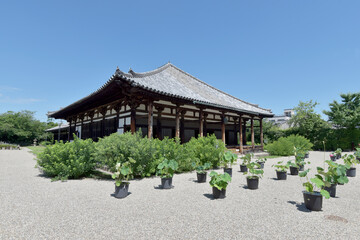 Fototapeta premium 元興寺 極楽坊本堂 奈良市