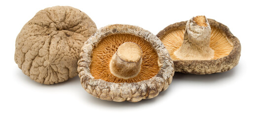 Dried Shiitake Mushroom isolated on white background