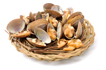 clams isolated on white background