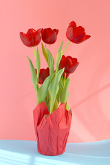 Beautiful red tulips in the vase with a pink background. Holiday and love concept.