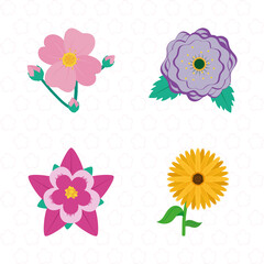 beautiful flowers icon set, colorful design