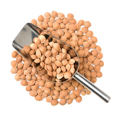 apricot kernel isolated on white background