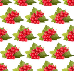 Red currants isolated on white background cutout.Creative layout, fruit seamless pattern.