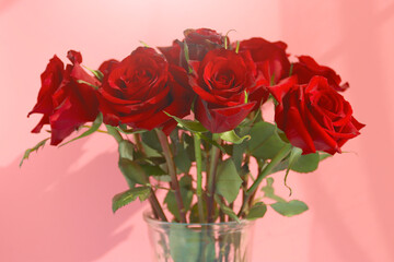 Beautiful red roses in the vase with a pink background. Holiday and love concept.