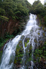 Fototapeta premium Beautiful Waterfall 