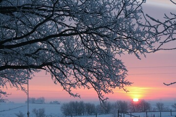 Icy Morning Winter Sunrise