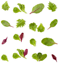 Creative layout made of salad leaves. Flat lay, top view. Vegetables isolated on white background. Food ingredient pattern..