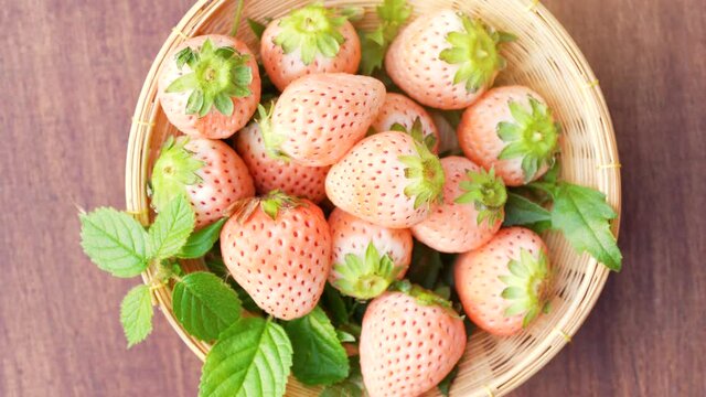 Fresh pink strawberries sweet and juicy, Pineberry or Hula Berry a hybrid strawberry.