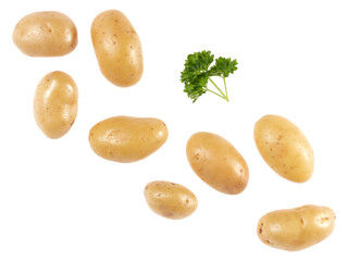 Potatoes and parsley isolated on white background with copy space for your text. Top view. Flat lay pattern. Potatoes in air, without shadow...
