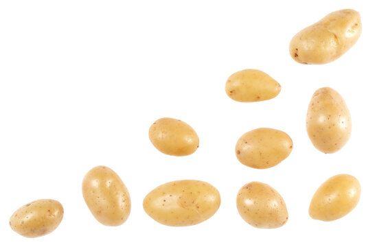 Potato isolated on white background with copy space for your text. Top view. Flat lay pattern. Potatoes in air, without shadow...