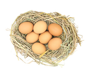 Chicken eggs in the straw nest isolated on white background