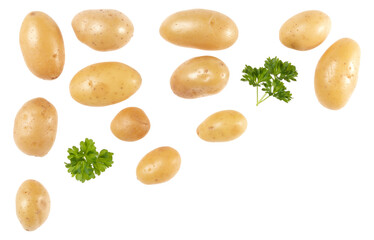 Potatoes and parsley isolated over white background with copy space for your text. Top view. Flat lay pattern. Potatoes in air, without shadow..