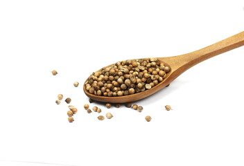 Coriander seeds in a wooden spoon isolated on white background. 