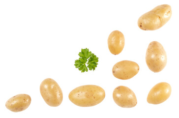 Potatoes and parsley isolated over white background with copy space for your text. Top view. Flat lay pattern. Potatoes in air, without shadow..