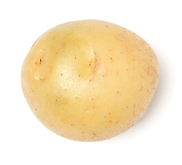potato isolated over white background. Top view, flat lay..
