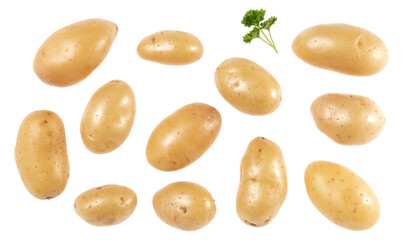 Potatoes and parsley isolated over white background. Top view. Flat lay pattern. Potatoes in air, without shadow..