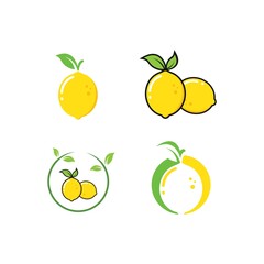 lemon  fruit  vector  illustration concept  design