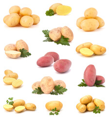 potato isolated on white background. Set of different composition of potatoes.