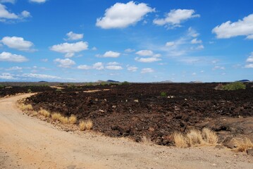 Weg Lava Savanne Steppe Afrika Nationalpark Kenia