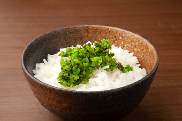 しそのみづけのご飯