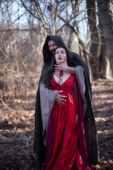 Merlin and Nimue