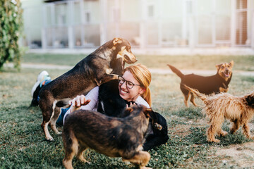 Young adult woman playing with adorable dogs in animal shelter.