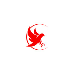 logo k icon templet bird vector 