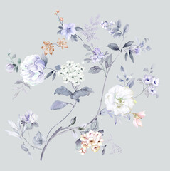 Flowers watercolor illustration.Manual composition.Big Set watercolor elements，Design for textile, wallpapers，Element for design,Greeting card