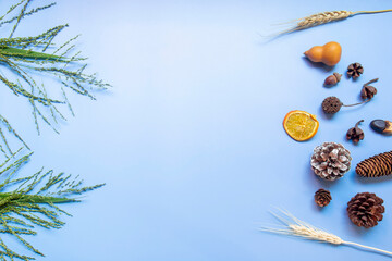 Green grass with assorted fruits and barley on the blue table in the living room.