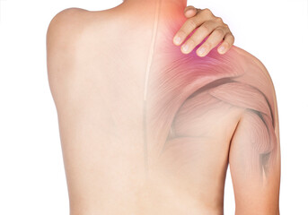 shoulder muscle pain - obrazy, fototapety, plakaty